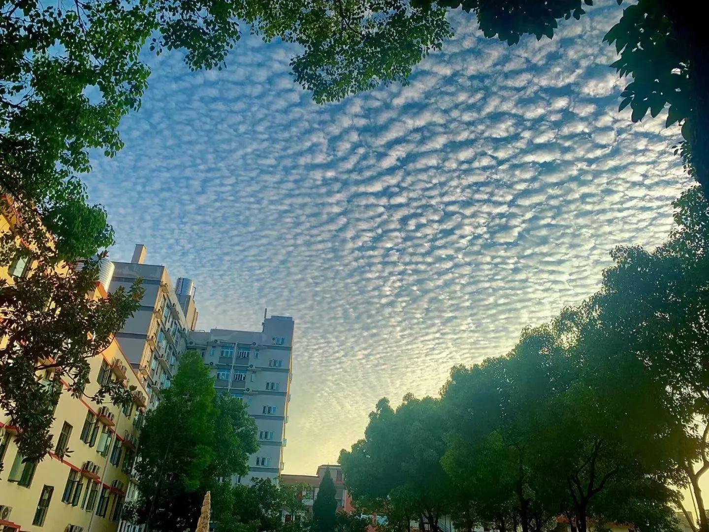 毕业进国企,福利好,待遇高;必赢电子游戏网站学生很“清高 毕业进国企,福利好,待遇高;必赢电子游戏网站学生很“清高