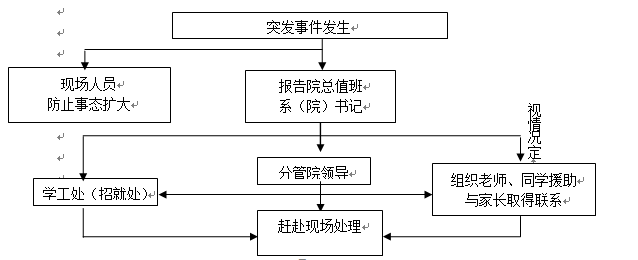 必赢电子游戏网站各类突发事件应急预案及处置流程图