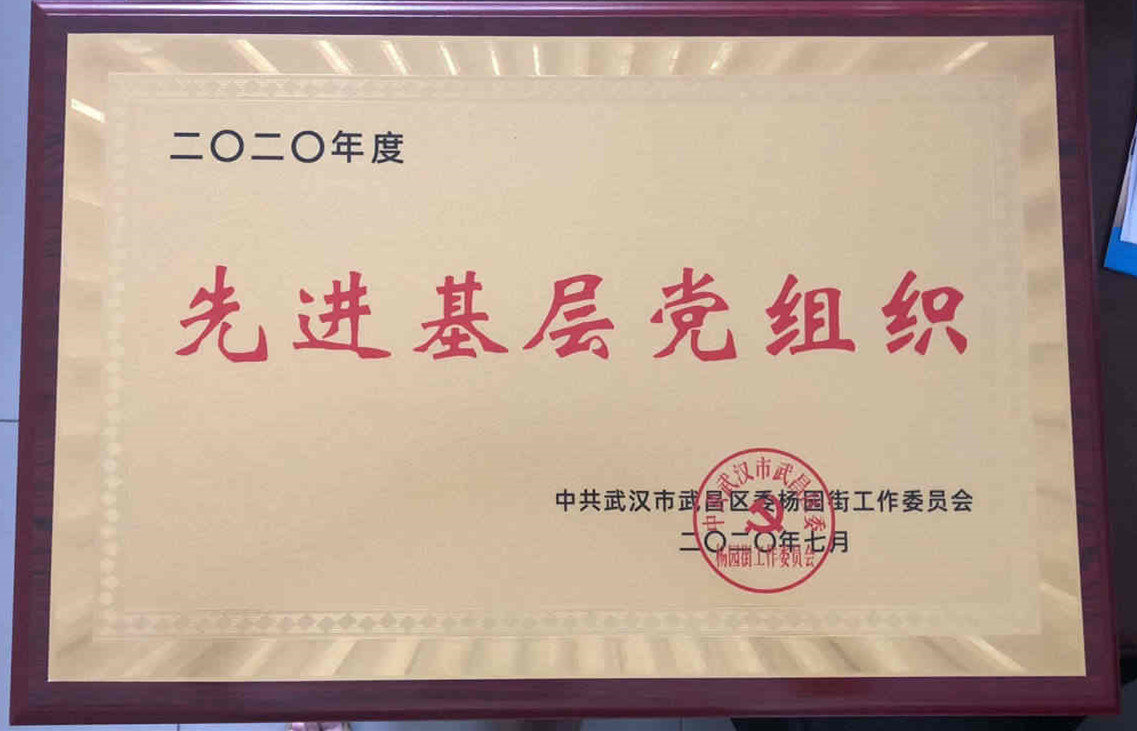 必赢官网党委荣获2020年度先进基层党组织